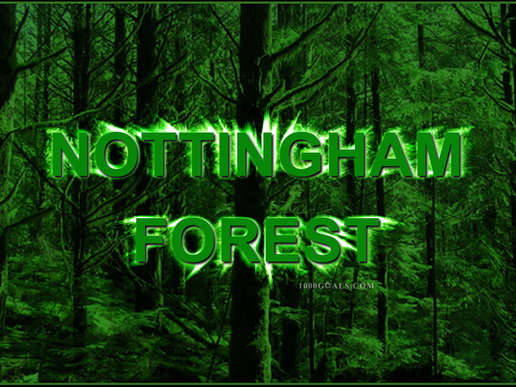 Download this Nottingham Forest Picture picture