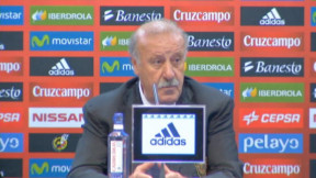 Spain Coach Del Bosque Blames Tiredness for France Equalizer